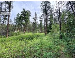 1231 Spiller Road, Penticton, BC V2A8T3 Photo 13
