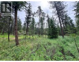 1231 Spiller Road, Penticton, BC V2A8T3 Photo 14