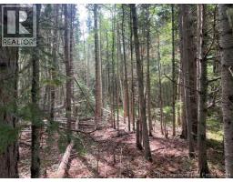 8353 Route 10, Cumberland Bay, NB O0O0O0 Photo 47