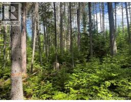 8353 Route 10, Cumberland Bay, NB O0O0O0 Photo 50