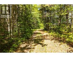 8353 Route 10, Cumberland Bay, NB O0O0O0 Photo 26