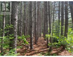 8353 Route 10, Cumberland Bay, NB O0O0O0 Photo 45