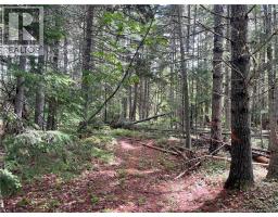 8353 Route 10, Cumberland Bay, NB O0O0O0 Photo 46