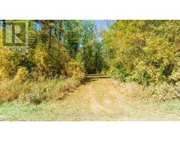 Pt Lt 3 Lanesville Line, Ashfield Colborne Wawanosh, ON N0M1R0 Photo 10