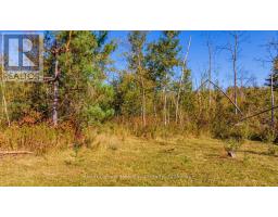 Pt Lt 3 Lanesville Line, Ashfield Colborne Wawanosh, ON N0M1R0 Photo 16