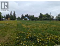 209 Lerew Street, Vonda, SK S0K4N0 Photo 15