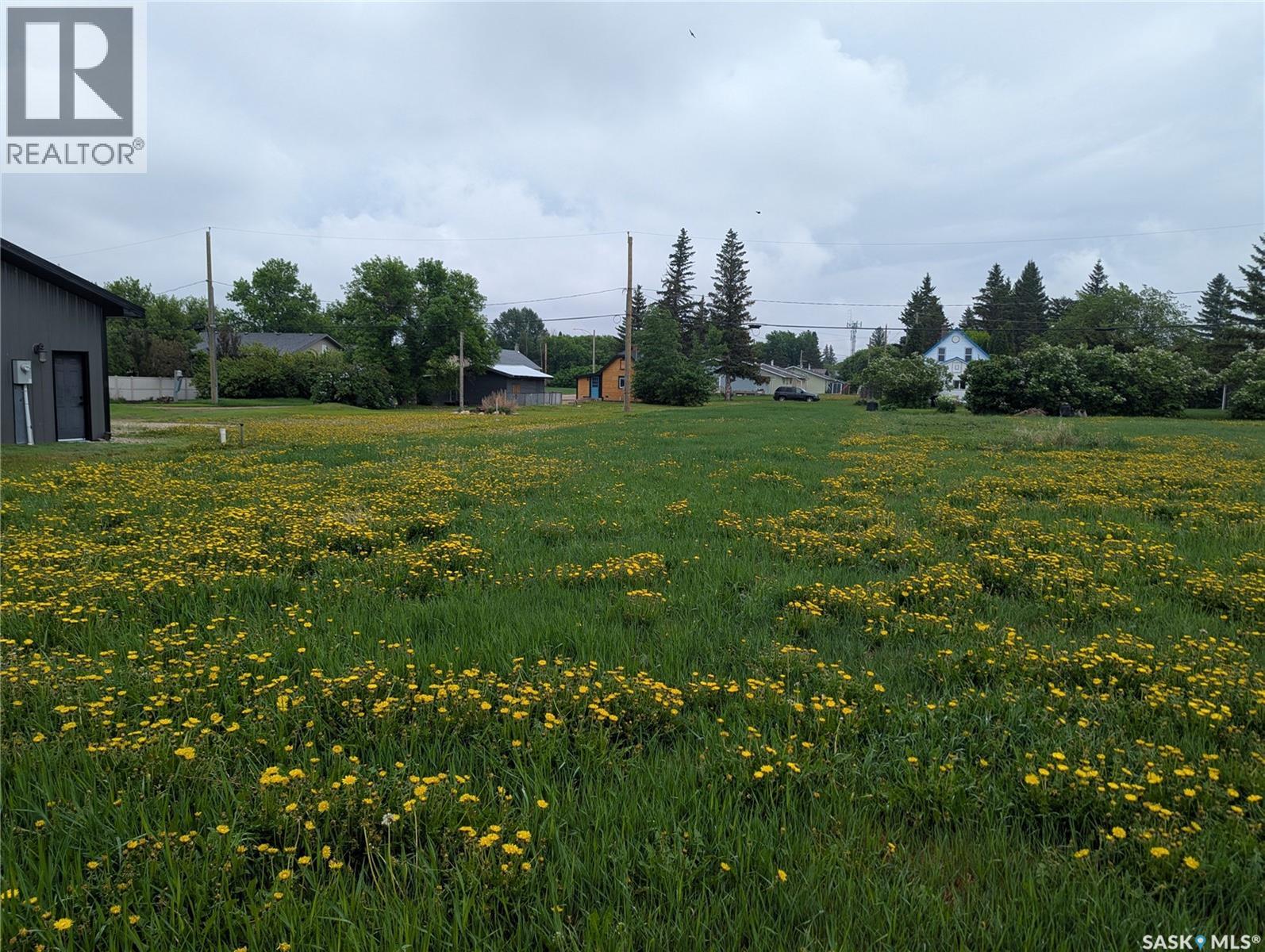 209 Lerew STREET — photo 16