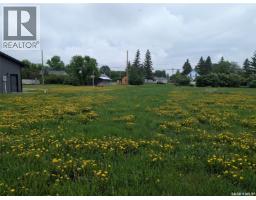 209 Lerew Street, Vonda, SK S0K4N0 Photo 16