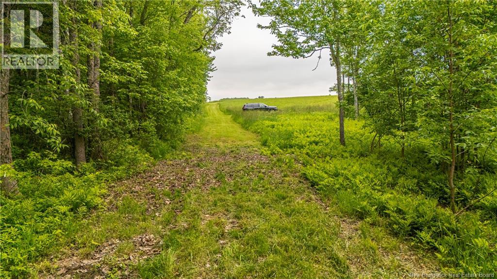 3506 Lower Cambridge Road - Image 46
