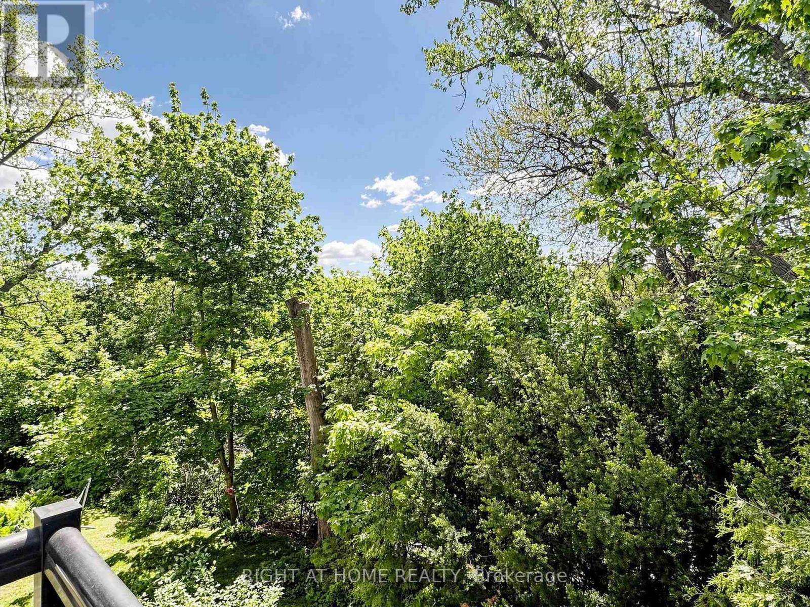 #14 20 BUDGELL TERRACE - 23