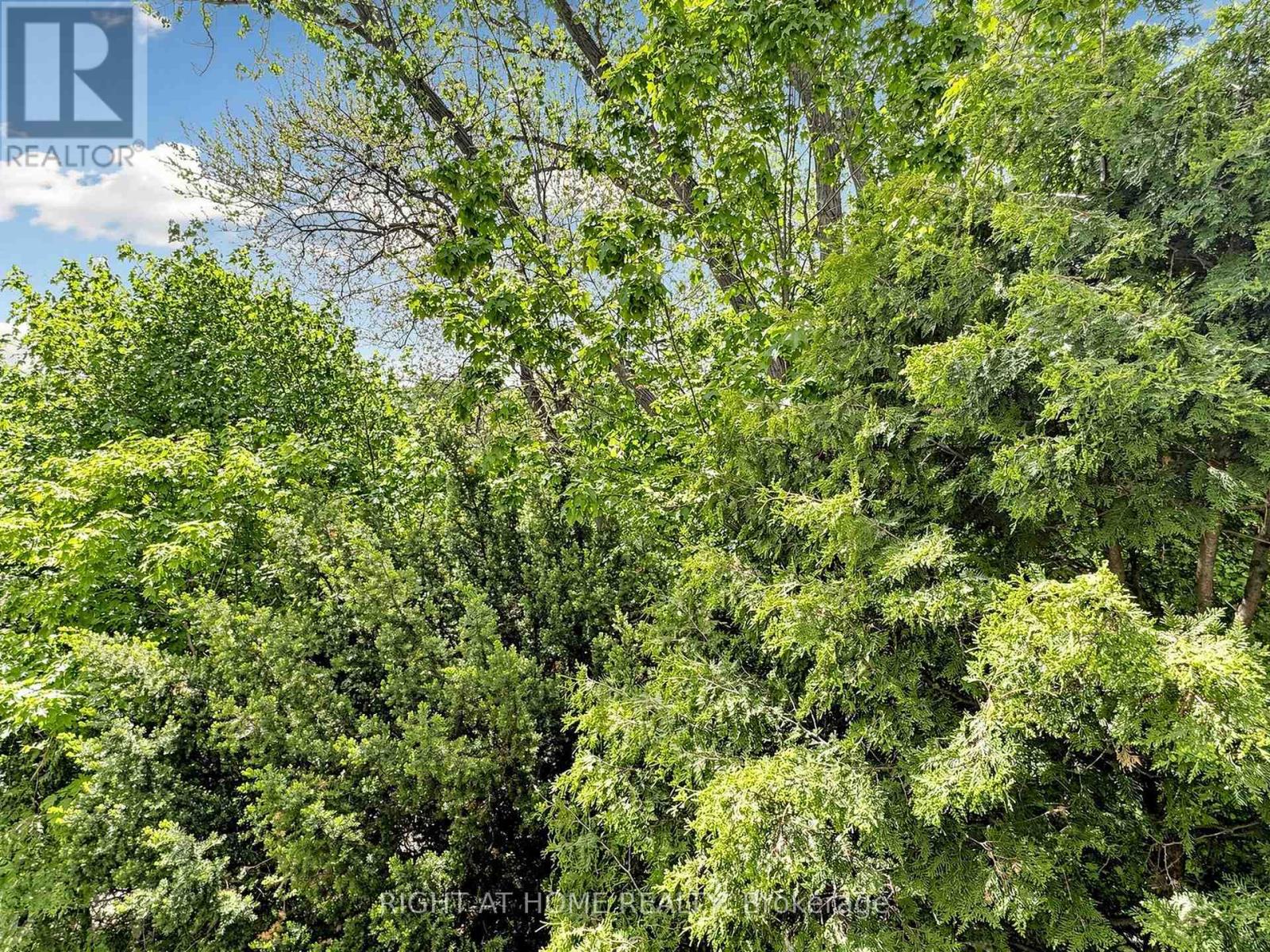 #14 20 BUDGELL TERRACE - 24