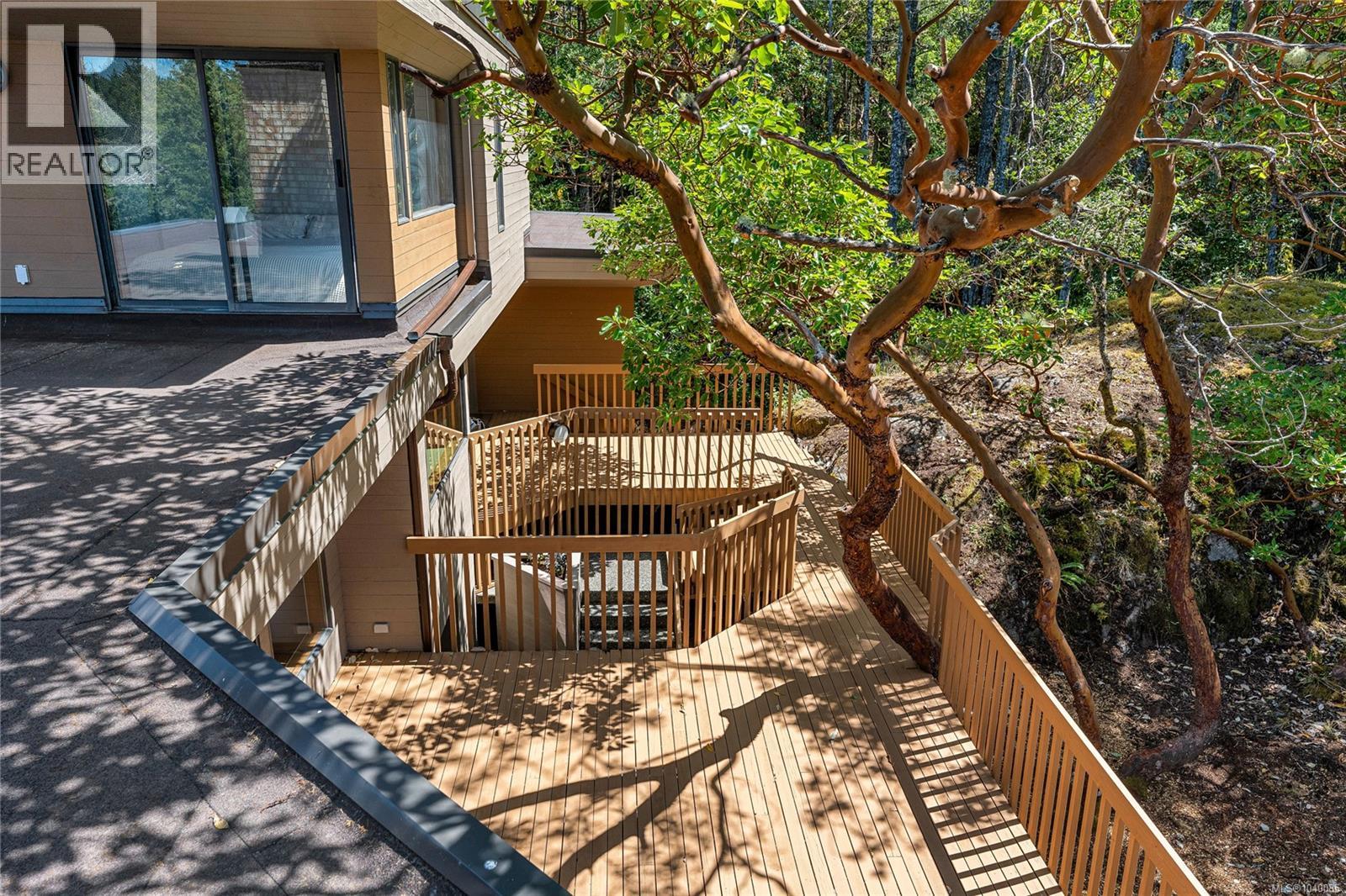 260 Moss Hill Pl - 31