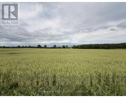 Beside 243 Morgan Road, Prince Edward County, ON K0K1G0 Photo 6