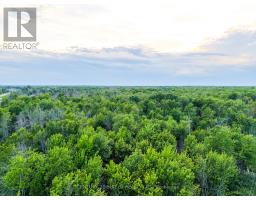 Pt Lt 10 Upper Canada Road, South Dundas, ON K0C1X0 Photo 6