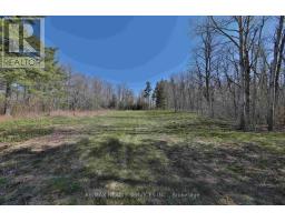 20 Side Road, Halton Hills, ON L7G4S4 Photo 13