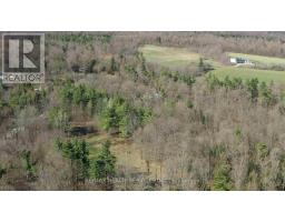 20 Side Road, Halton Hills, ON L7G4S4 Photo 6