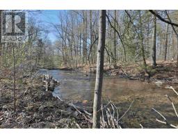 20 Side Road, Halton Hills, ON L7G4S4 Photo 7