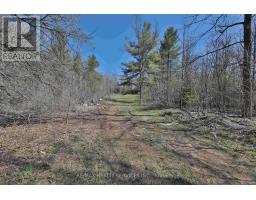 20 Side Road, Halton Hills, ON L7G4S4 Photo 14