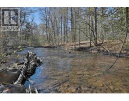 20 Side Road, Halton Hills, ON L7G4S4 Photo 8