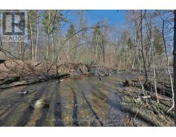 20 Side Road, Halton Hills, ON L7G4S4 Photo 9