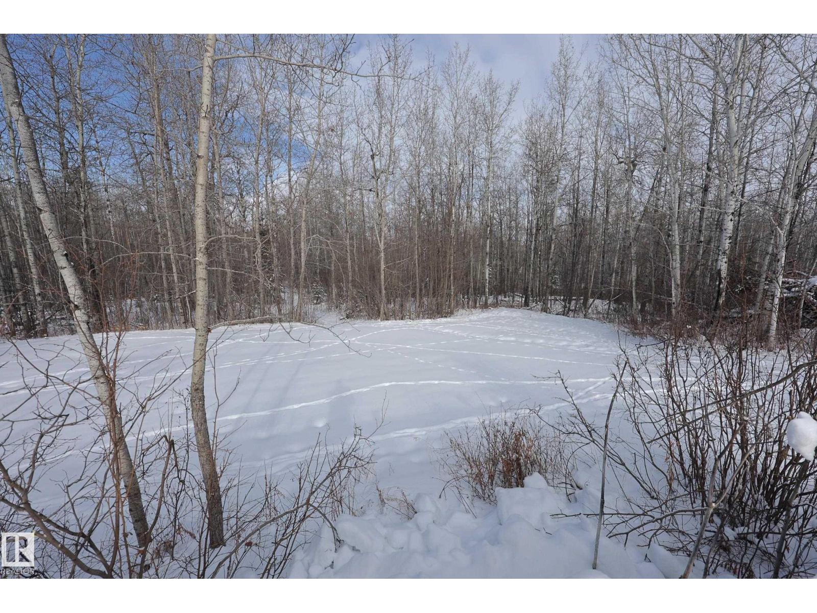 274032 TWP ROAD 480 — photo 31
