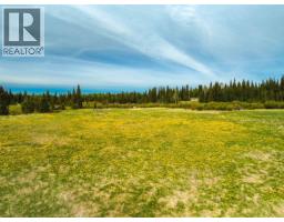 6824 Judson Road, Bridge Lake, BC V0K1X3 Photo 23