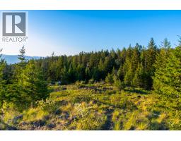 6720 Langley Court, Kelowna, BC V1P1A4 Photo 96