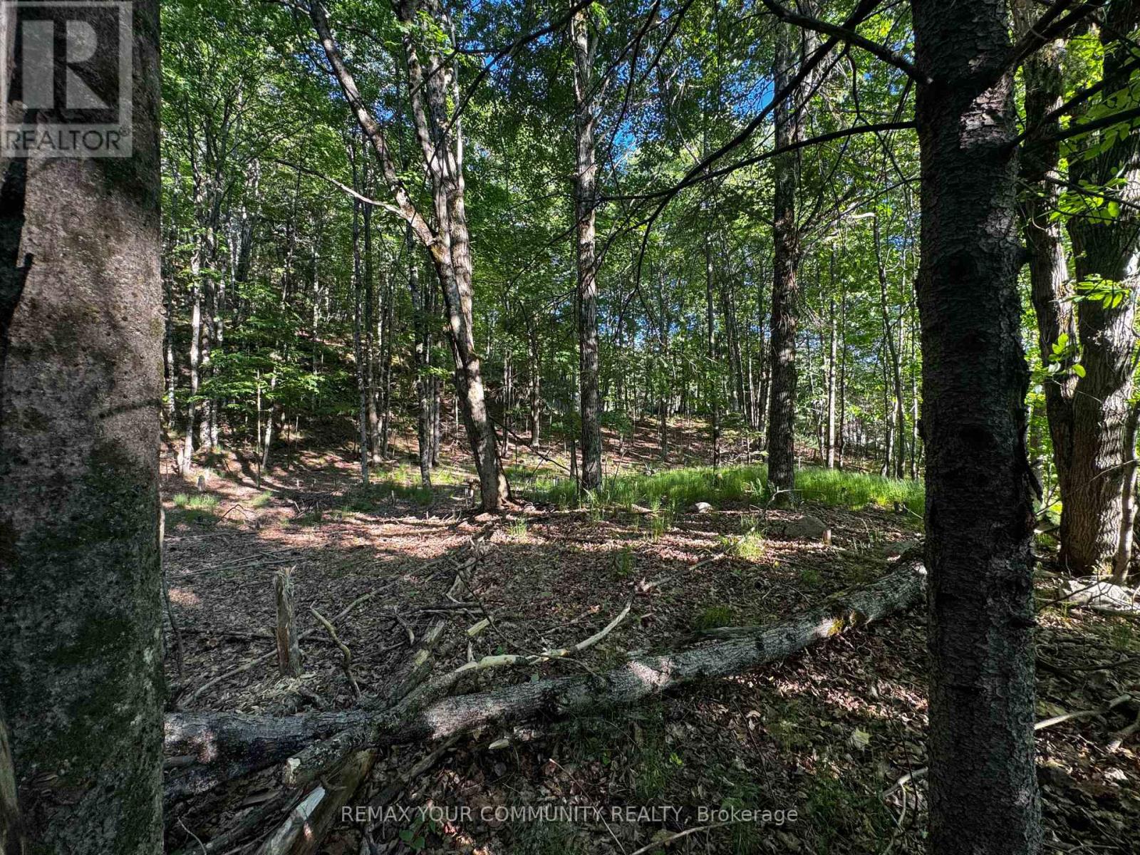1025 MEADOWVIEW ROAD - 5