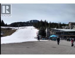165 4050 Whistler Way, Whistler, BC V8E1H9 Photo 9