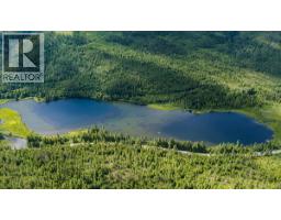 6410 3 Highway, Salmo, BC V0G1Z0 Photo 13