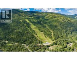 6410 3 Highway, Salmo, BC V0G1Z0 Photo 8