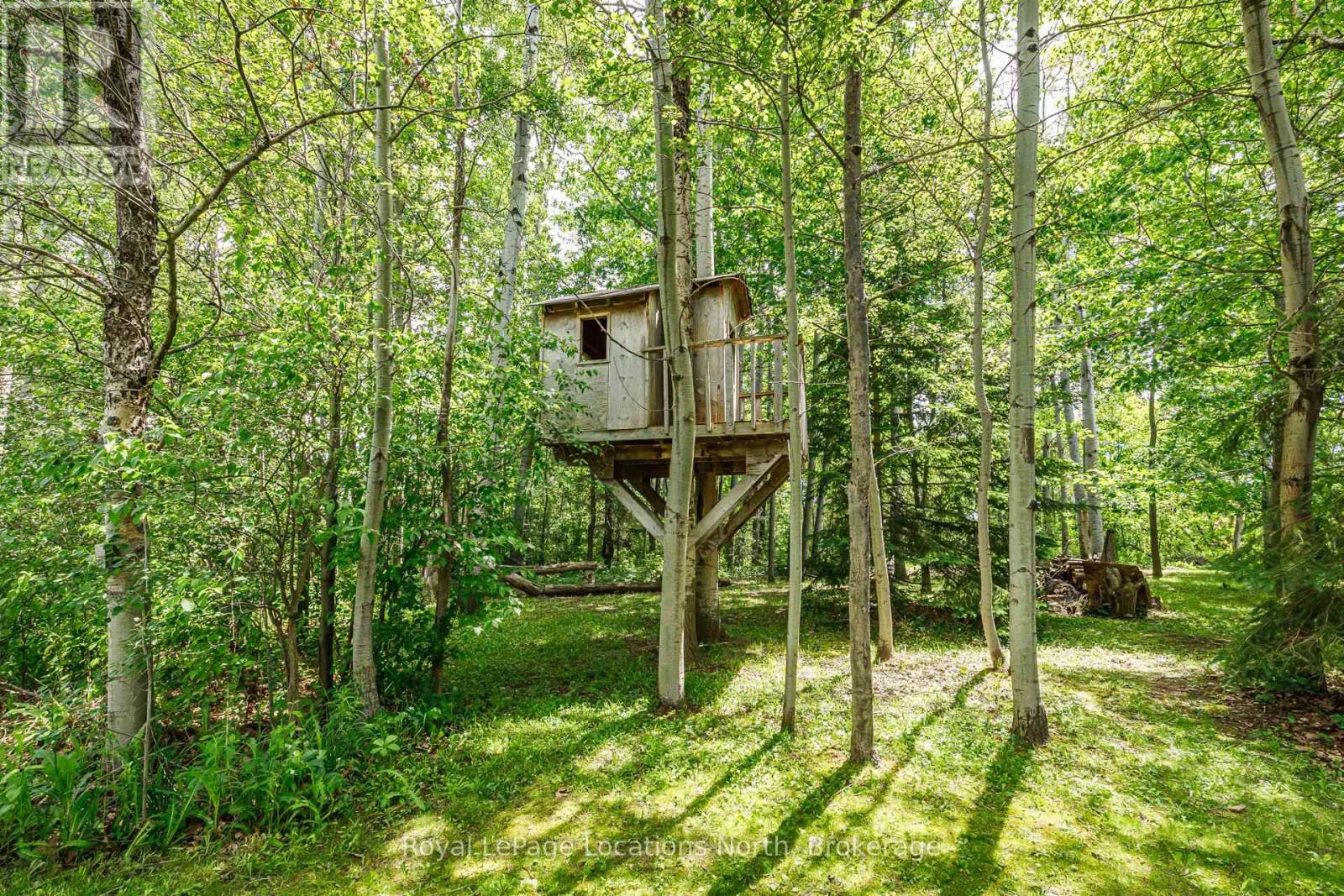 44 BLACKBURN AVENUE - 44