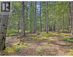 122 Perepolkin Road, Hills, BC V0G1S1 Photo 43