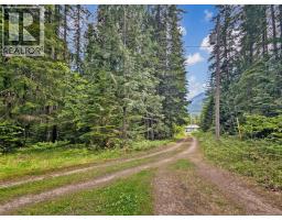 122 Perepolkin Road, Hills, BC V0G1S1 Photo 47