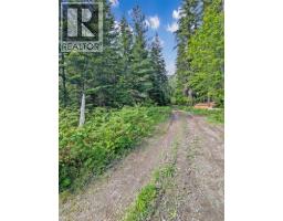 122 Perepolkin Road, Hills, BC V0G1S1 Photo 48