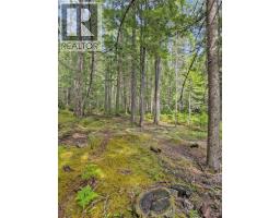 122 Perepolkin Road, Hills, BC V0G1S1 Photo 45