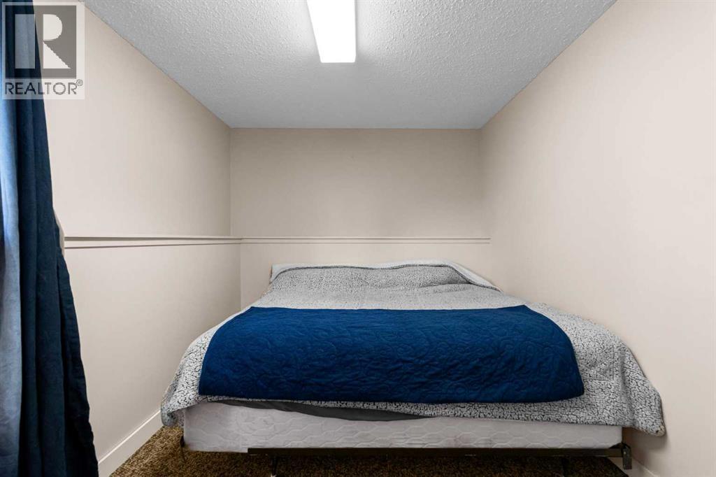 Lower Level Bedroom 4