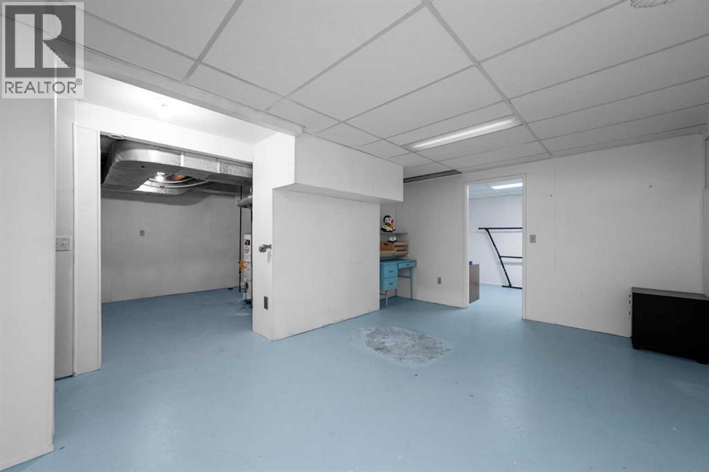 Basement Flex Space