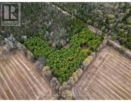 523782 Concession 12 Road, West Grey, ON N0C1H0 Photo 7