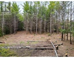 523782 Concession 12 Road, West Grey, ON N0C1H0 Photo 6