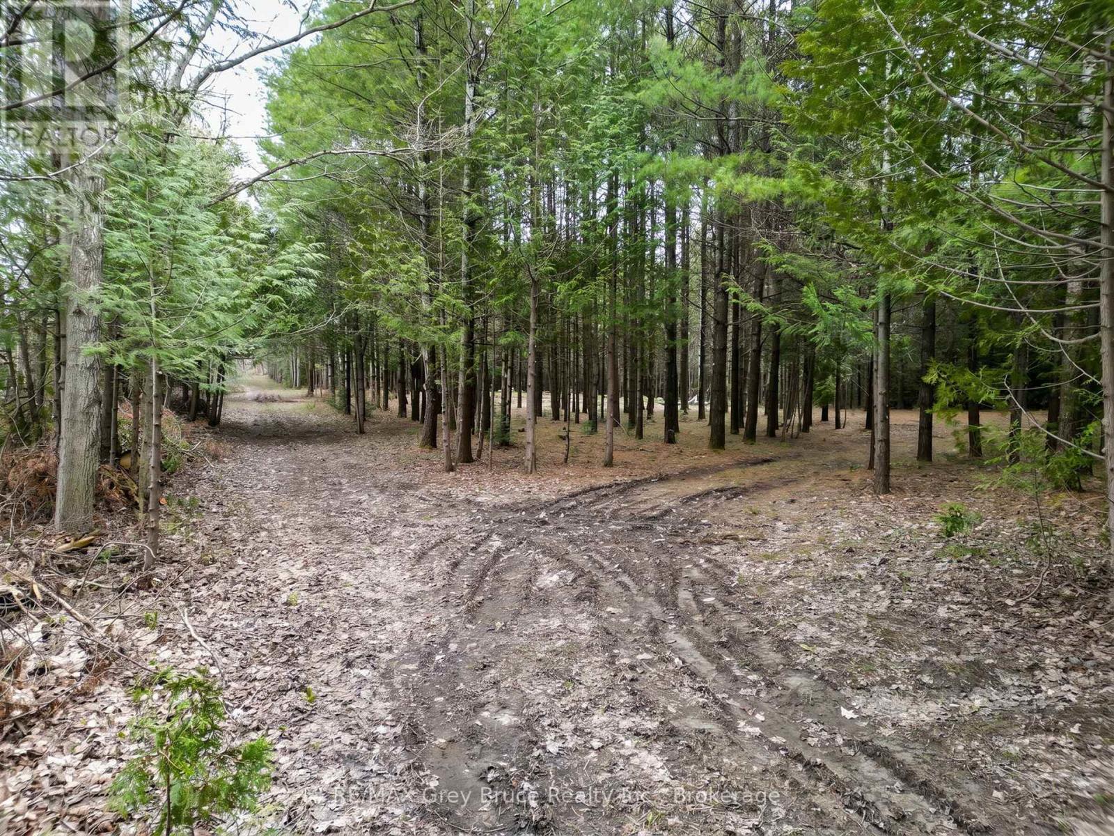 523782 CONCESSION 12 ROAD, West Grey — photo 2