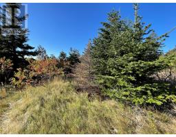 0 Wades Farm Road thumbnail 5