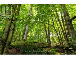 108 Coveney's Road, South Bruce Peninsula, ON N0H2T0 Photo 18