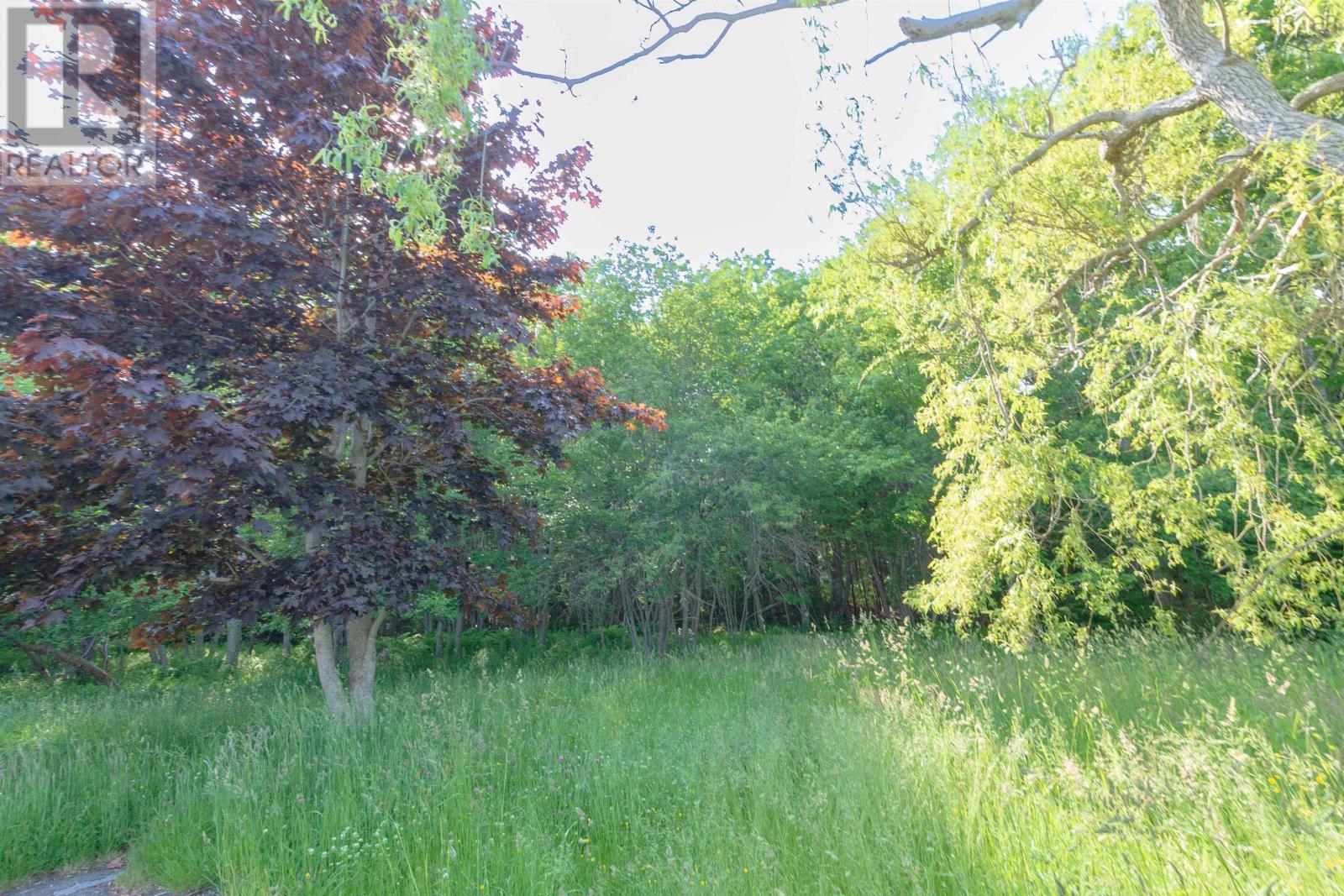 1554 Shore Road - 38