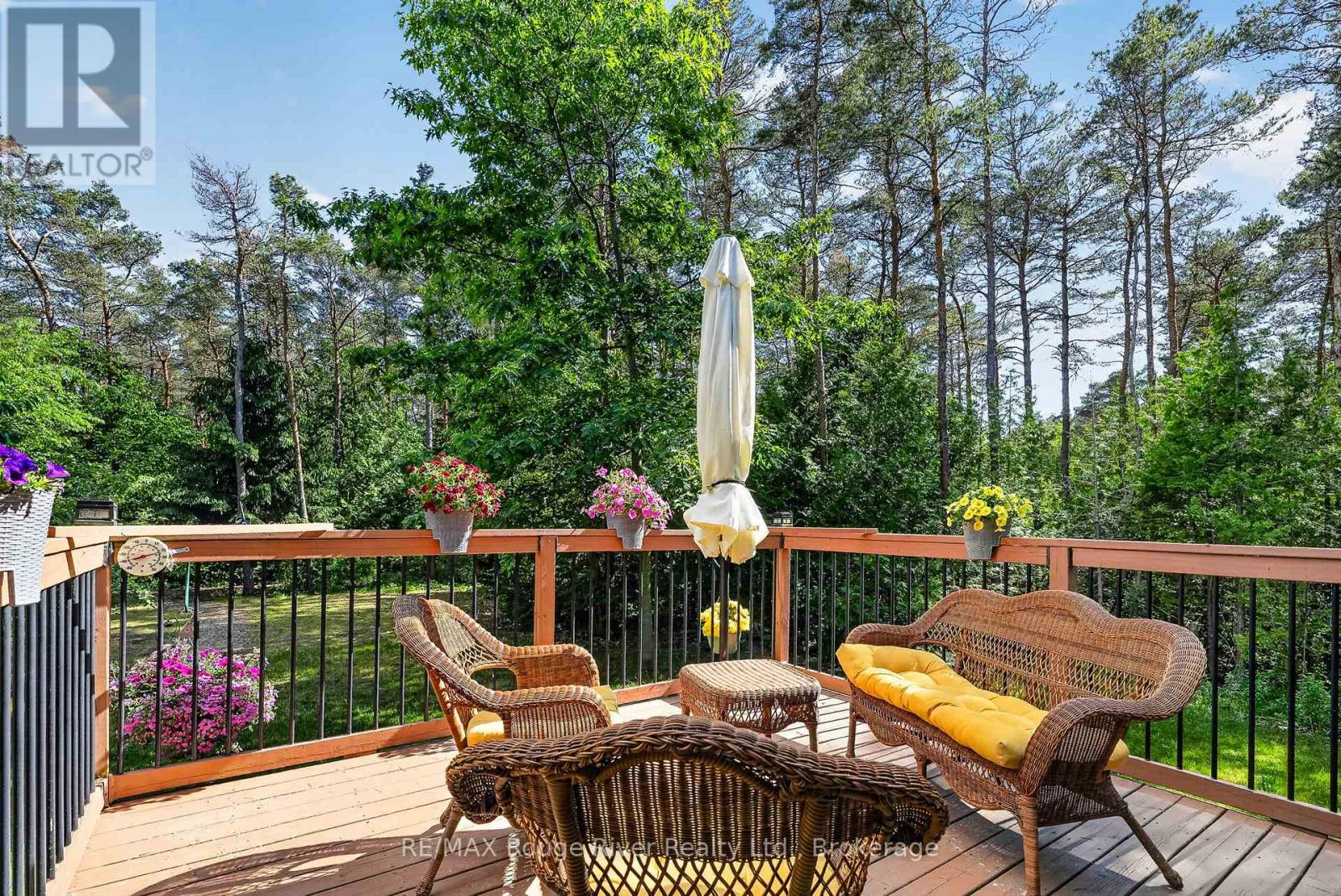 149 PINE TREE LANE - 18