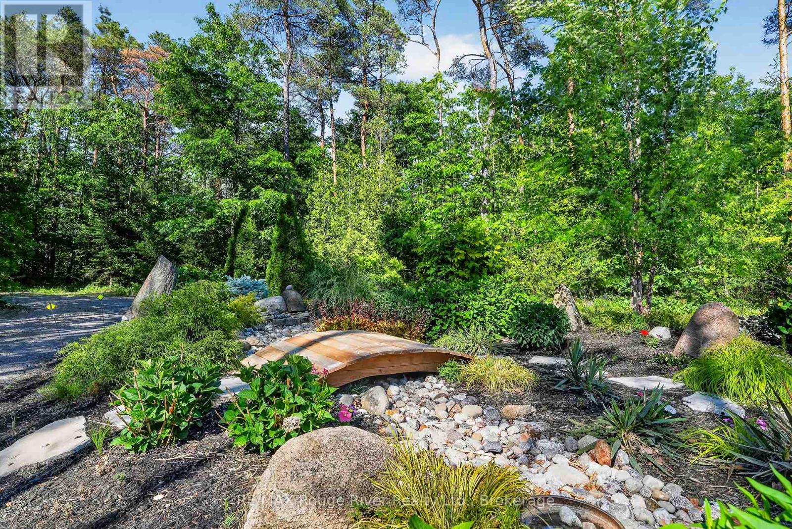 149 PINE TREE LANE - 19