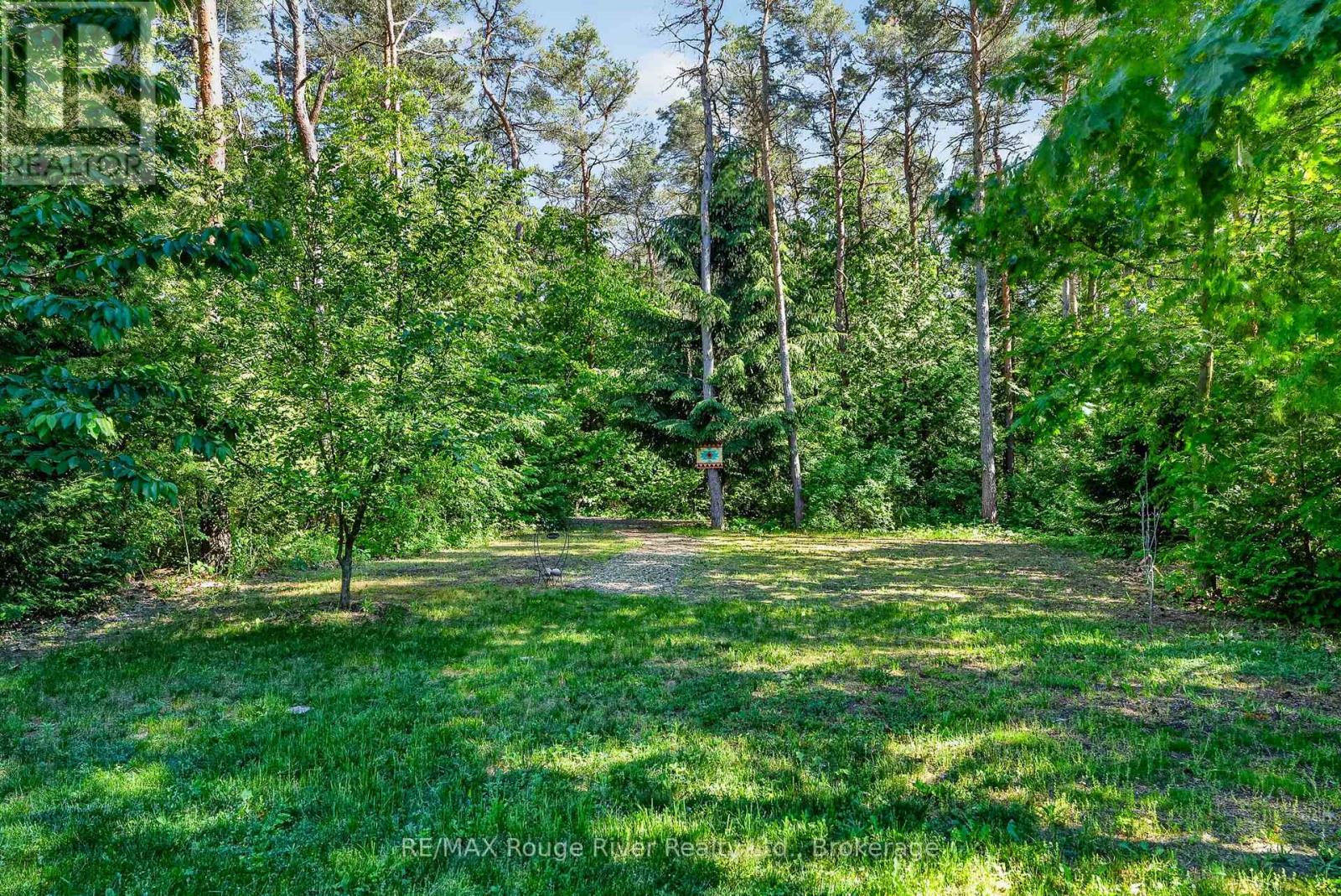 149 PINE TREE LANE - 32