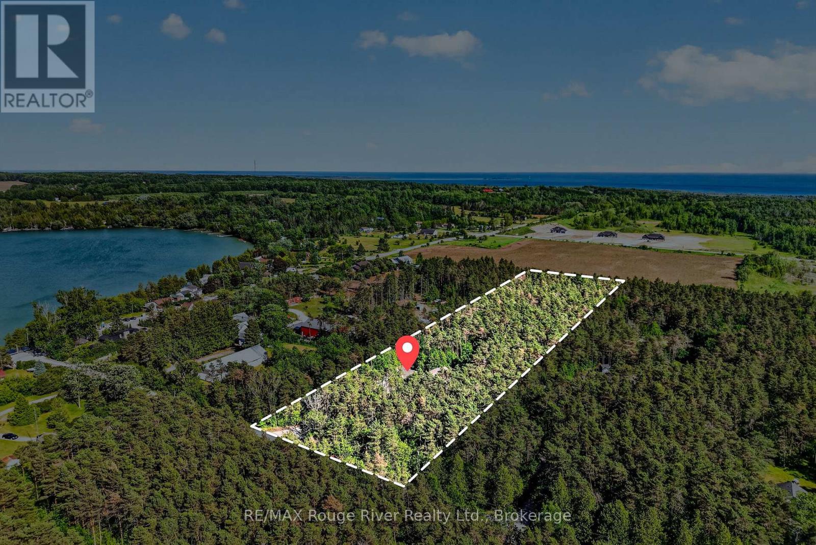 149 PINE TREE LANE - 34