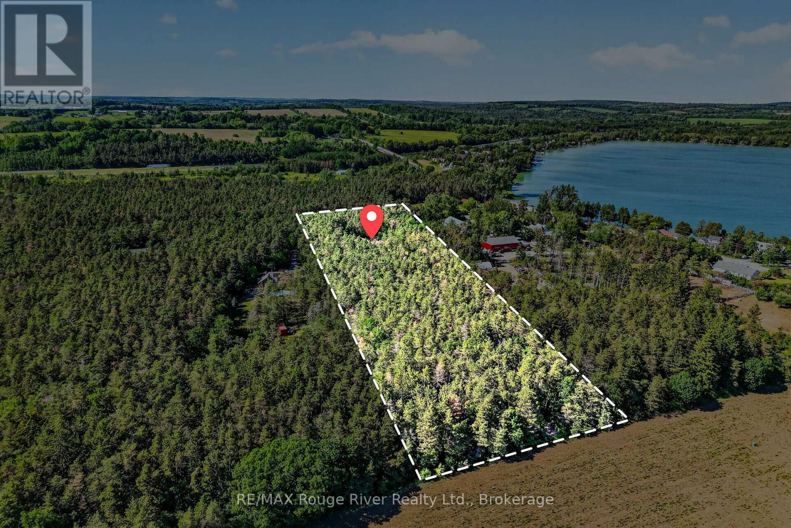 149 PINE TREE LANE - 5