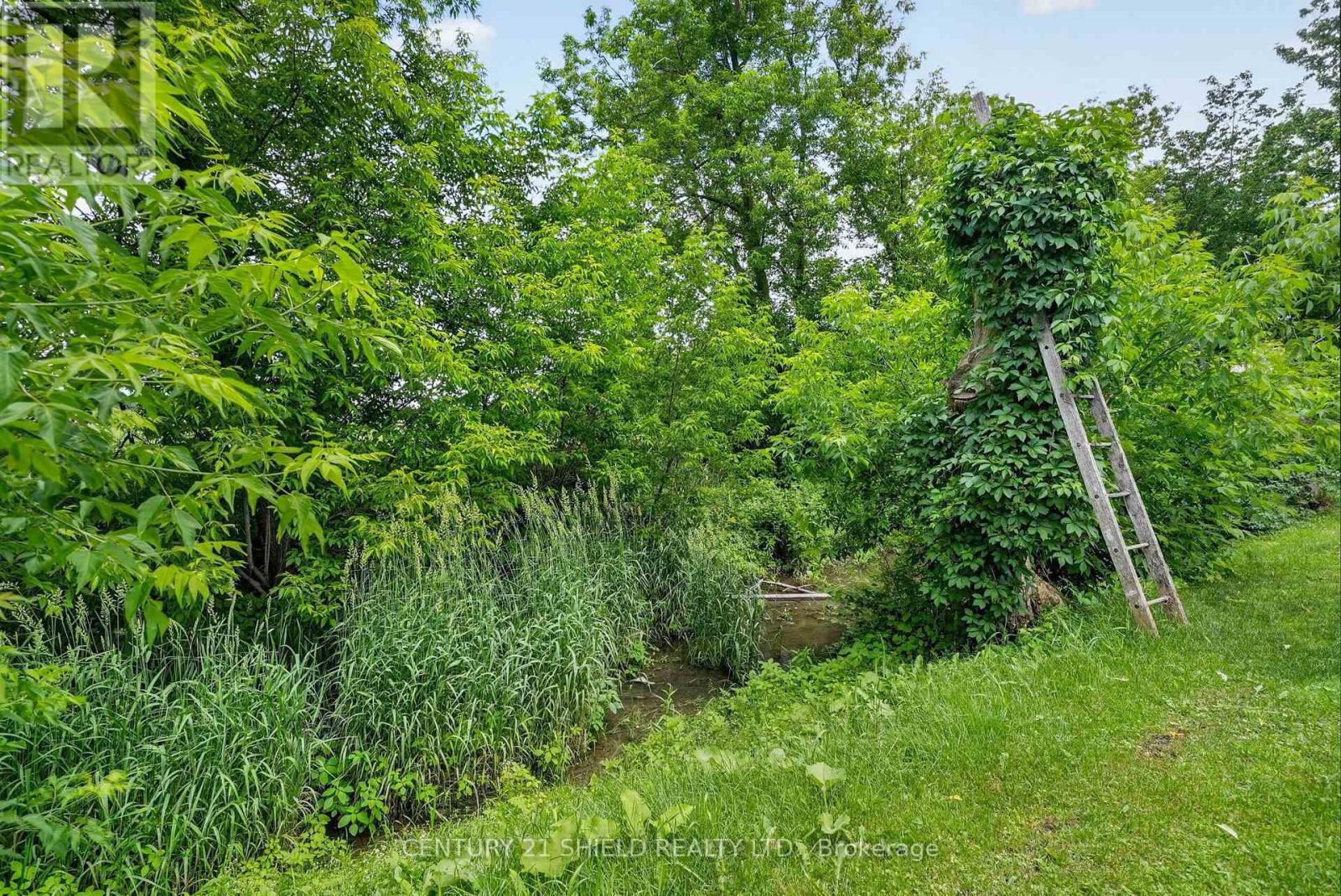 21149 CONCESSION 5 ROAD - 29